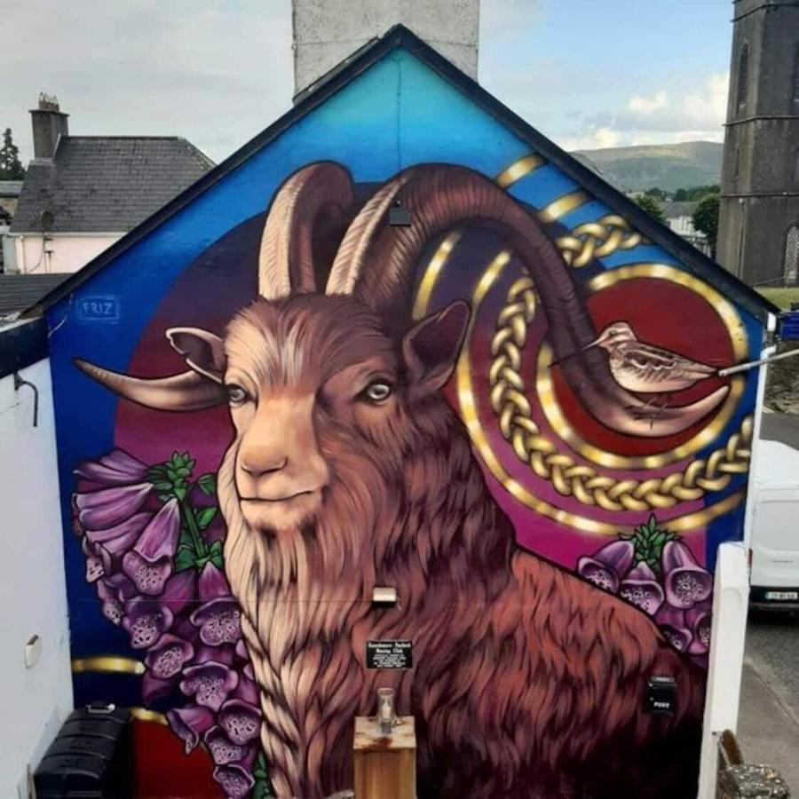 'Kealan' Luxury Double Room Foxford Dış mekan fotoğraf